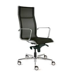 Acer-plus-alto-malla